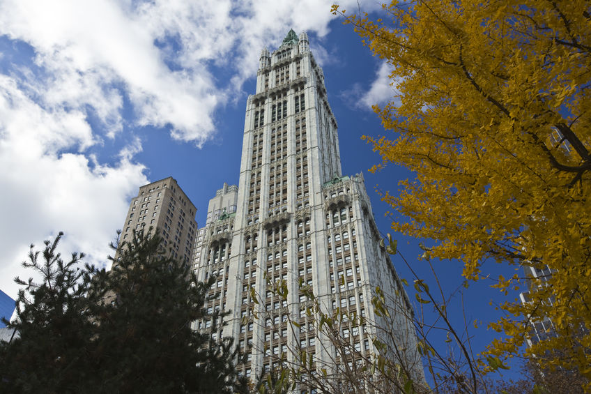The Woolworth Building, New York