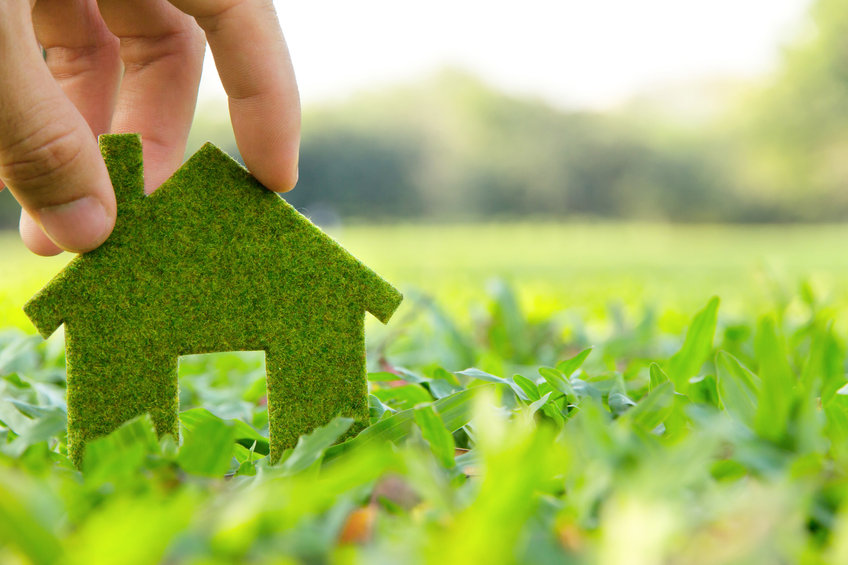 Green Building Sustains Environmental Responsibility