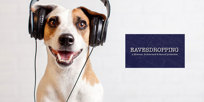dog listening headphones adg podcast